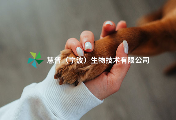 慧普（寧波）生物技術(shù)有限公司響應(yīng)式網(wǎng)站建設(shè)
