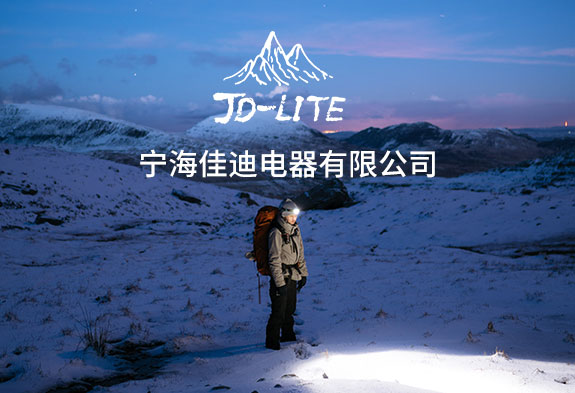 寧海佳迪電器有限公司響應(yīng)式網(wǎng)站建設(shè)